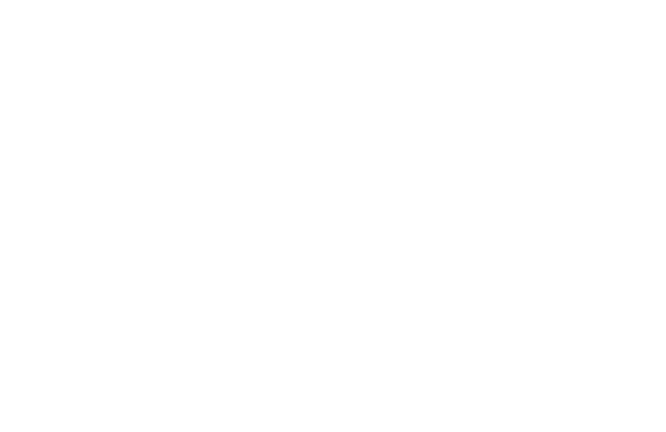 white hexagons